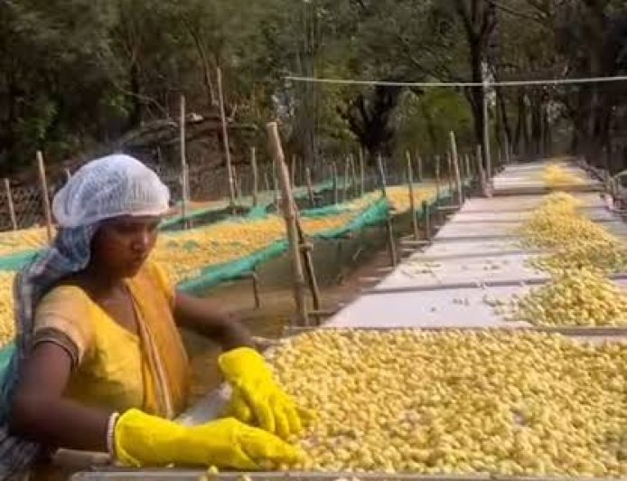 ମହୁଲ ଫୁଲରୁ ଉଦ୍ୟମର ଗନ୍ଧ — ଓଡ଼ିଶାର ଗ୍ରାମୀଣ ଜୀବନରେ ନୂତନ ଆଶା