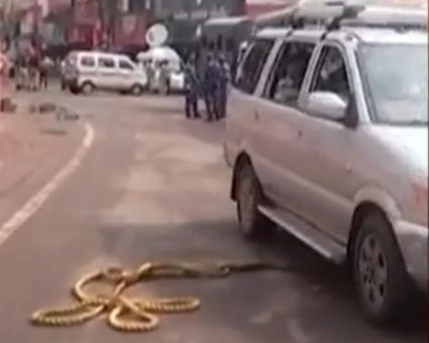 Curfew restrictions relaxed in Cuttack as normalcy returns