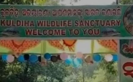 Kuldiha Wildlife Sanctuary reopens with new attractions