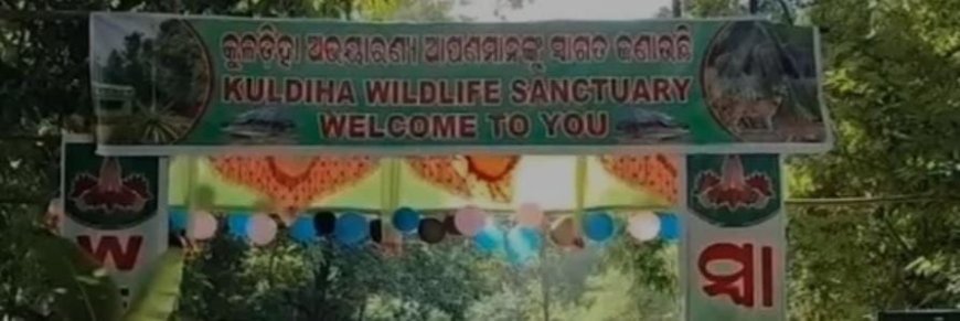 Kuldiha Wildlife Sanctuary reopens with new attractions