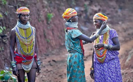 The New Tribal Question