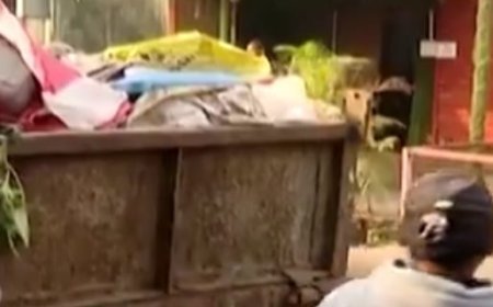 Mayor imposes fines worth lakhs of rupees at Unit-4 area