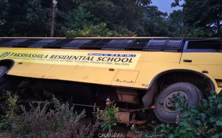 Picnic bus falls into gorge; one dead, 17 injured