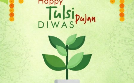 No Christmas, It’s Tulsi Pujan?