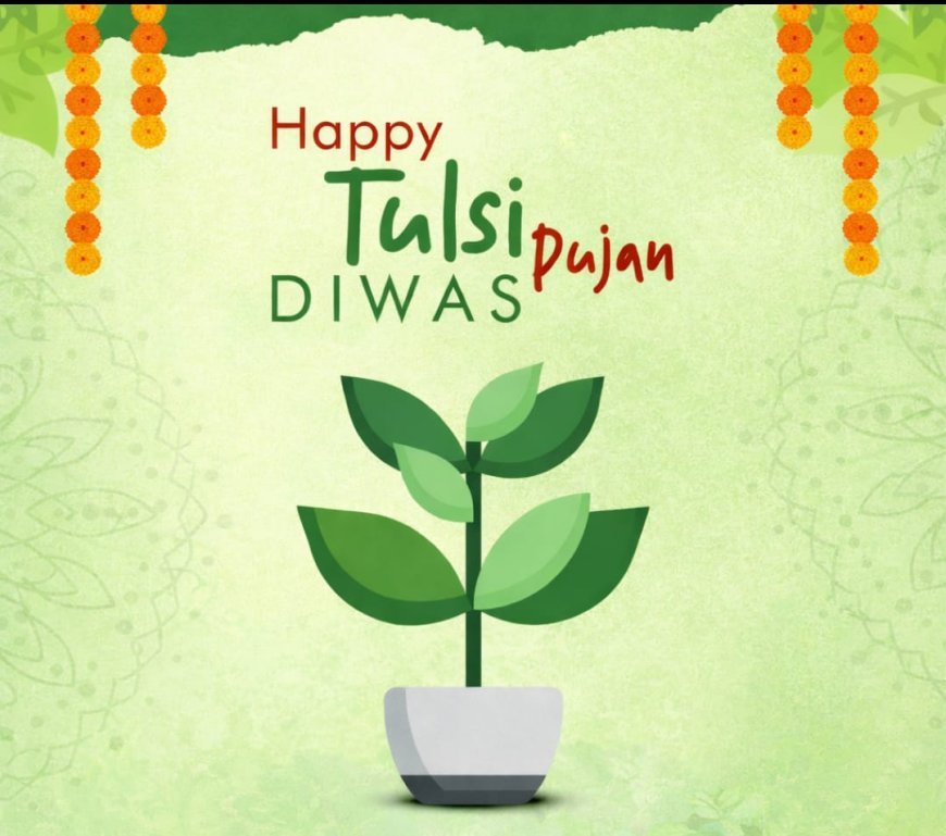 No Christmas, It’s Tulsi Pujan?