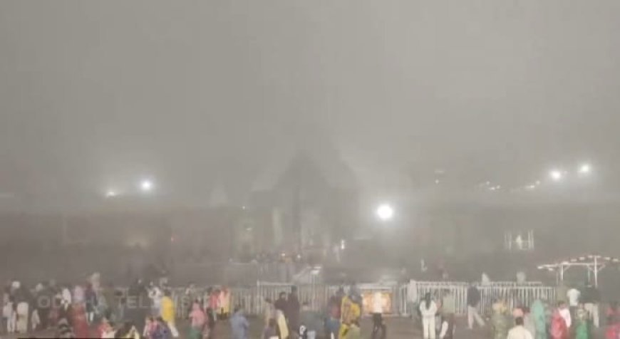 Dense fog, cold wave disrupt normal life across Odisha