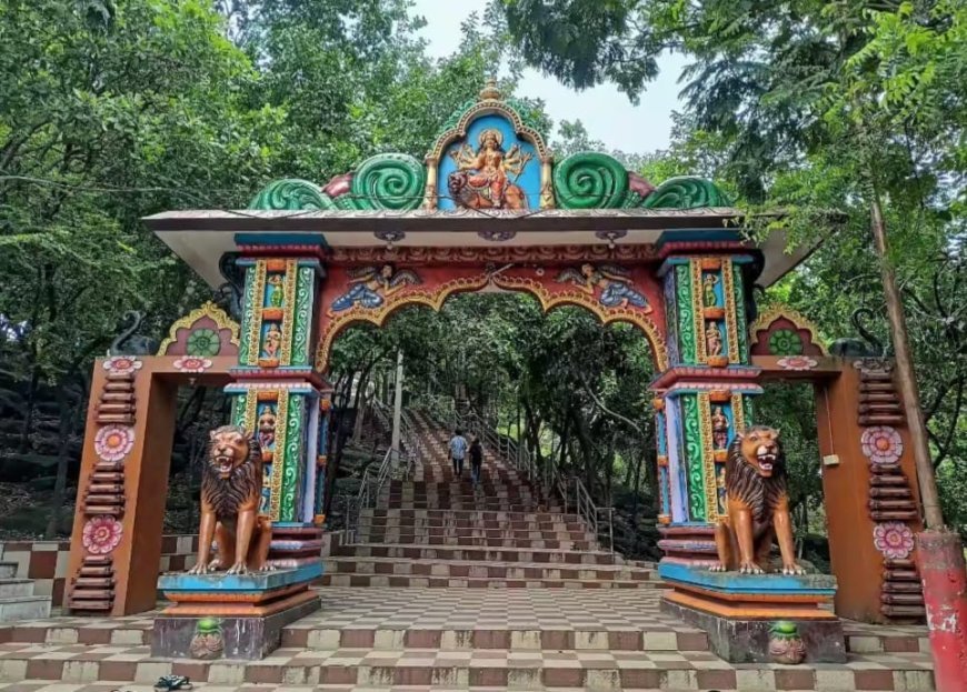 Shikharchandi shrine closed after elephants spotted on Hill
