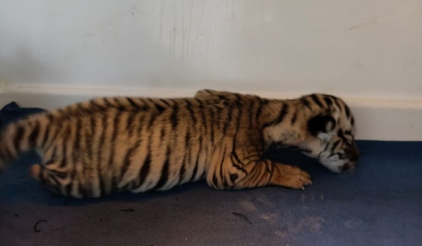 New guest arrive at Nandankanan Zoological Park