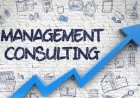 Business Management & Consulting