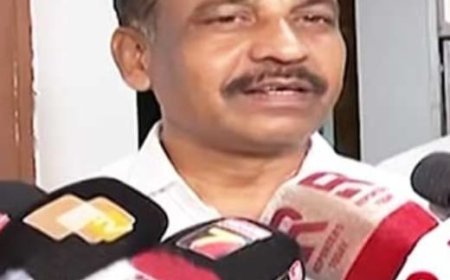 Green sticker not mandatory: Minister