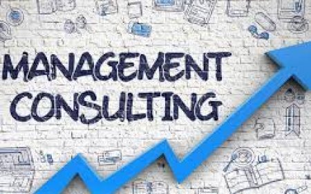 Business Management & Consulting