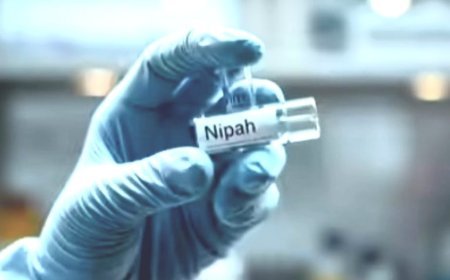 Two nurses suspected to be infected with Nipah Virus in West Bengal; Odisha on alert
