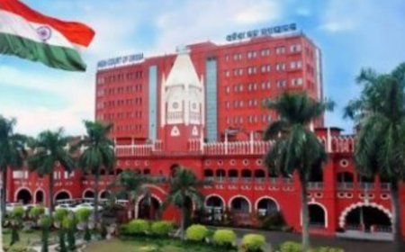 Orissa HC directs petrol supply without pollution certificate