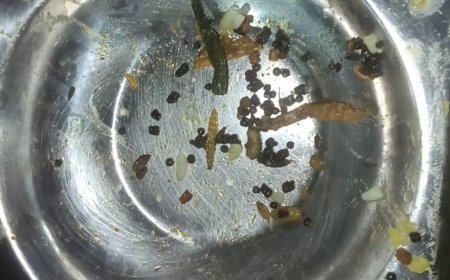 Insects found in BJB hostel food, students protest over hygiene lapses