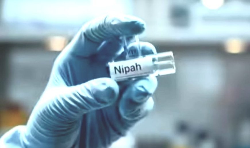 Two nurses suspected to be infected with Nipah Virus in West Bengal; Odisha on alert