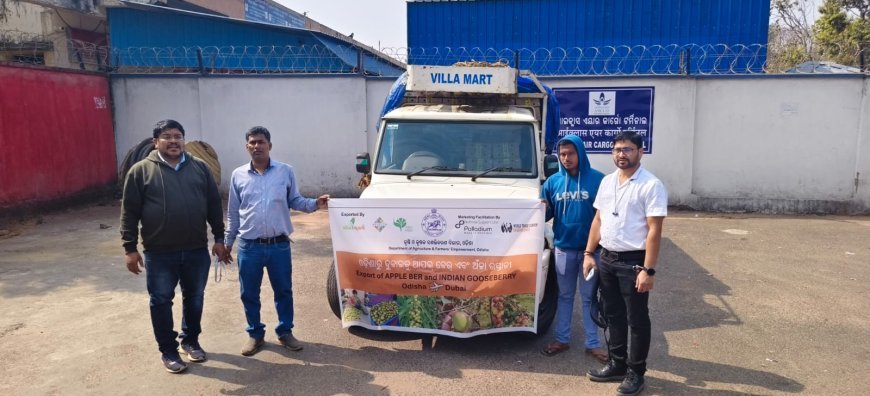 Odisha farmers achieve first-time export of Fresh Apple Ber and Indian Gooseberry to Dubai
