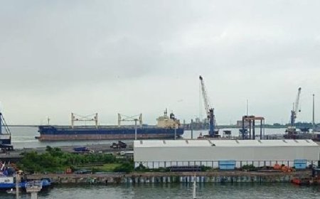 Paradip Port sets new cargo handling record