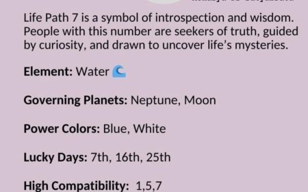 Your Numerology Number 7