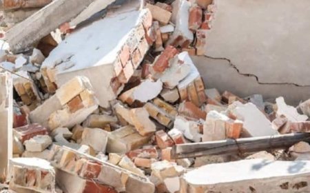 Two dead, four critically injured in wall collapse