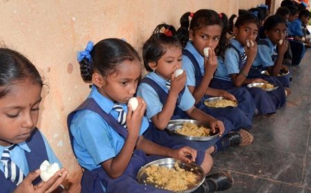Primary Education in Odisha: A Silent Collapse at the Foundation of Civilization
