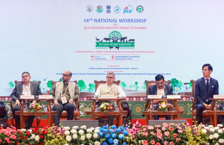 National Workshop on JICA Forestry Projects highlights Wood Transformation and Industry Linkages as pillars for a Green Economy