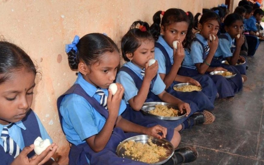 Primary Education in Odisha: A Silent Collapse at the Foundation of Civilization
