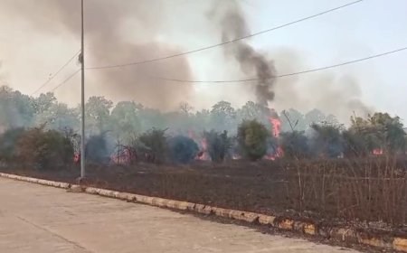 Fire breaks out near oil depot outside Jharsuguda Airport