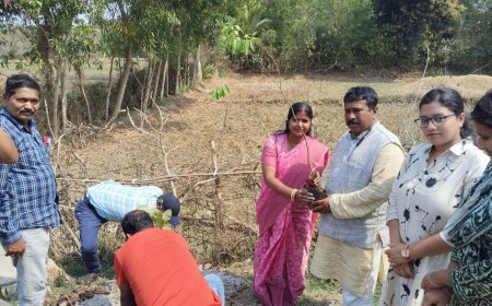 Sandalwood Tree Planted at Sri Jagannath Temple Premises on Help Desk Closing Day