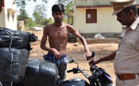 College student held with ganja in Ganjam 