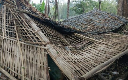 Poweful Storm Damages Several Residential Houses In Sibsagar Assam  More than 100 Betel  Nut Trees Were Uprooted Several Livestock Dead  Fifty Nine  Houses Were Damaged Incuding Them 6 Were Completely Destroyed