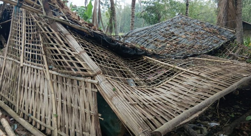 Poweful Storm Damages Several Residential Houses In Sibsagar Assam  More than 100 Betel  Nut Trees Were Uprooted Several Livestock Dead  Fifty Nine  Houses Were Damaged Incuding Them 6 Were Completely Destroyed
